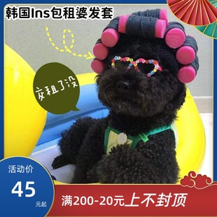 韩国INS宠物变身装 饰 帽子狗狗猫咪包租婆卷发头套搞笑拍照道具装