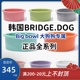 韩国进口Bridge.dog big bowl宠物陶瓷碗BD猫碗狗碗大型犬狗食盆