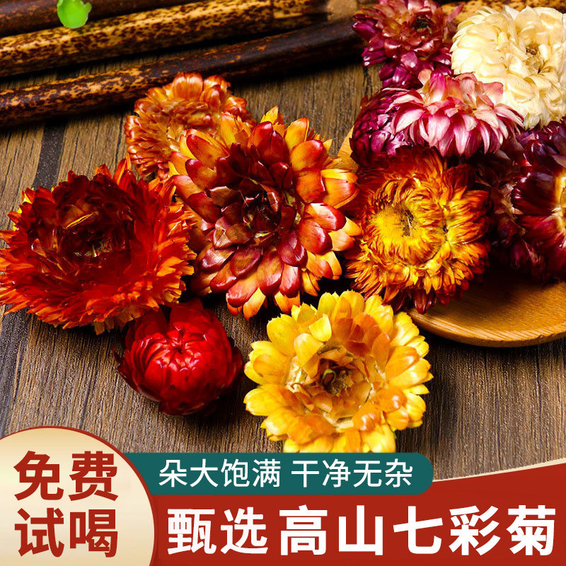 七彩菊花茶干花七色彩菊藏菊花太阳菊洋菊花变色菊干菊花野采茶