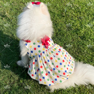 宠物大狗狗裙子夏季萨摩耶波点裙金毛边牧中大型犬公主裙