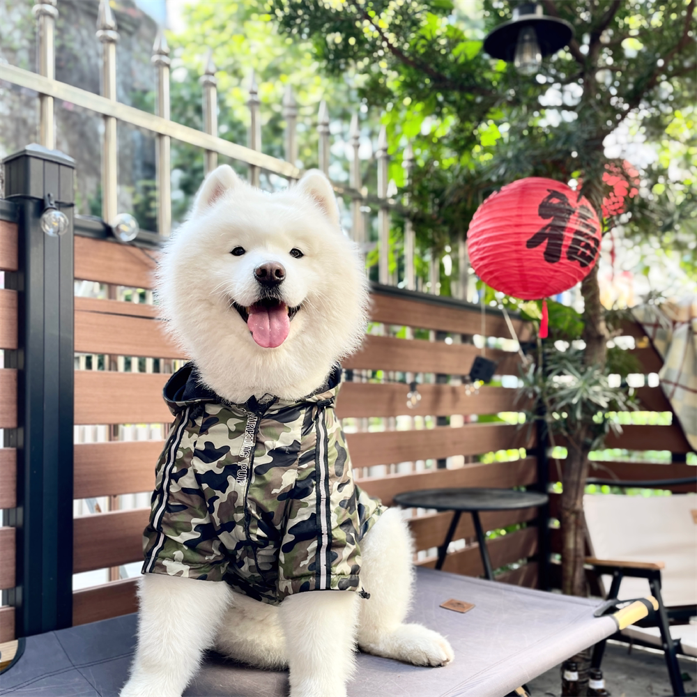 大狗狗冲锋衣宠物中大型犬防风衣防雪迷彩外套萨摩耶金毛边牧衣服