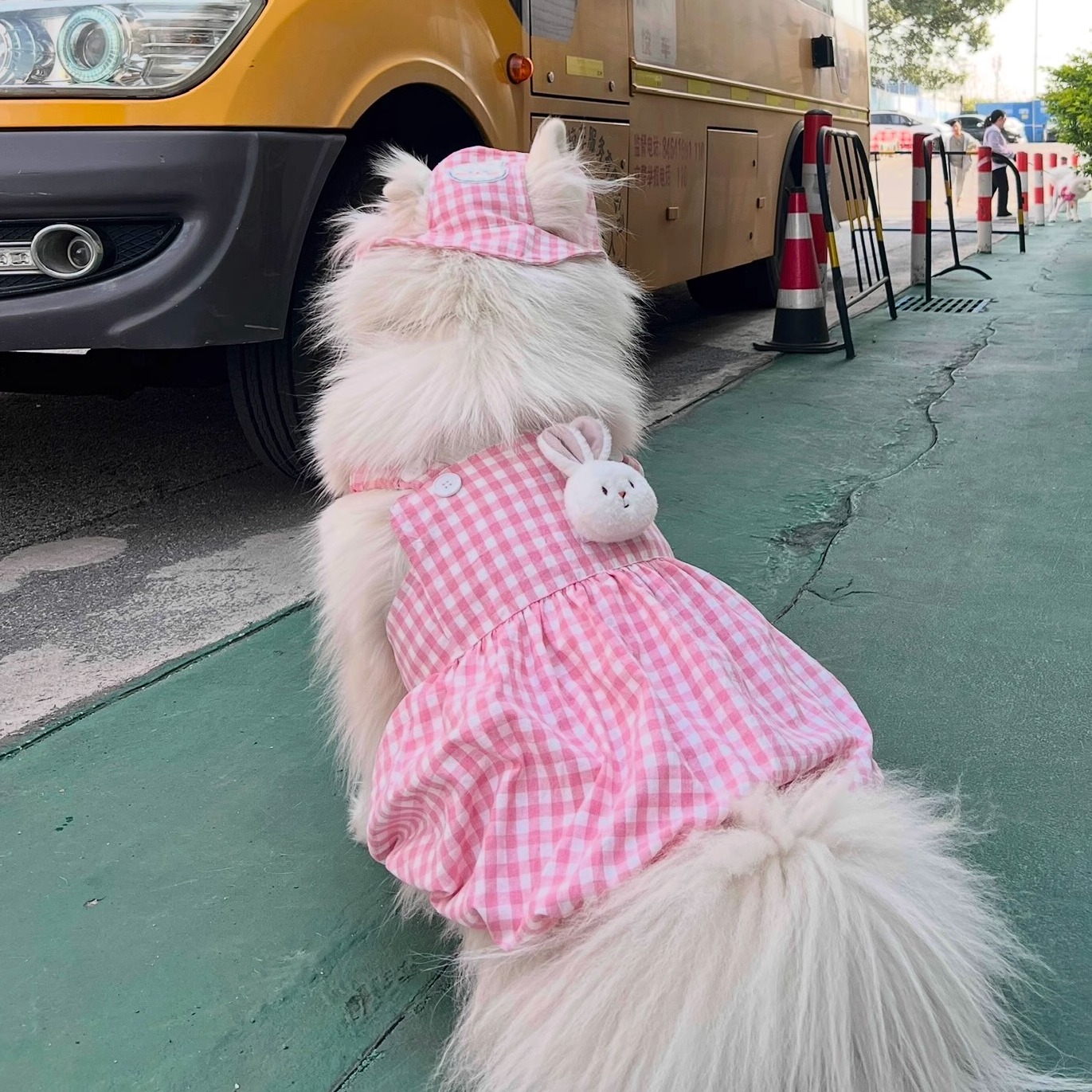 大狗裙子夏季可爱玩偶贴饰宠物裙