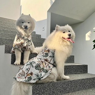 宠物大狗连身裙中大型犬衣服萨摩耶金毛拉布拉多夏威夷风宠物防脏