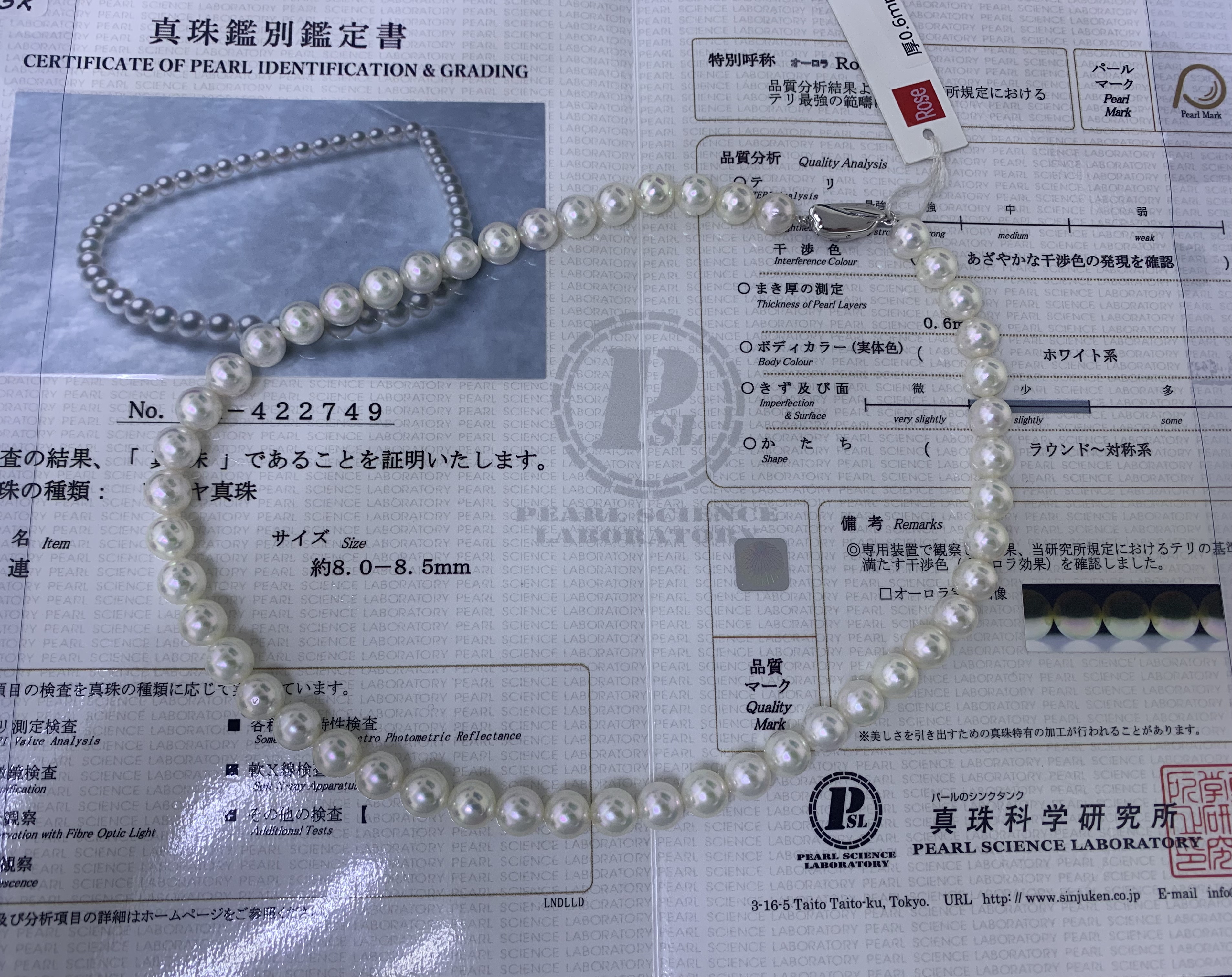 真科研Rose日本akoya珍珠项链8-8.5mm冷白高亮泽送女友纯银扣