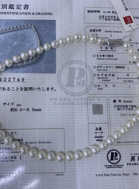 真科研Rose日本akoya珍珠项链8-8.5mm冷白高亮泽送女友纯银扣
