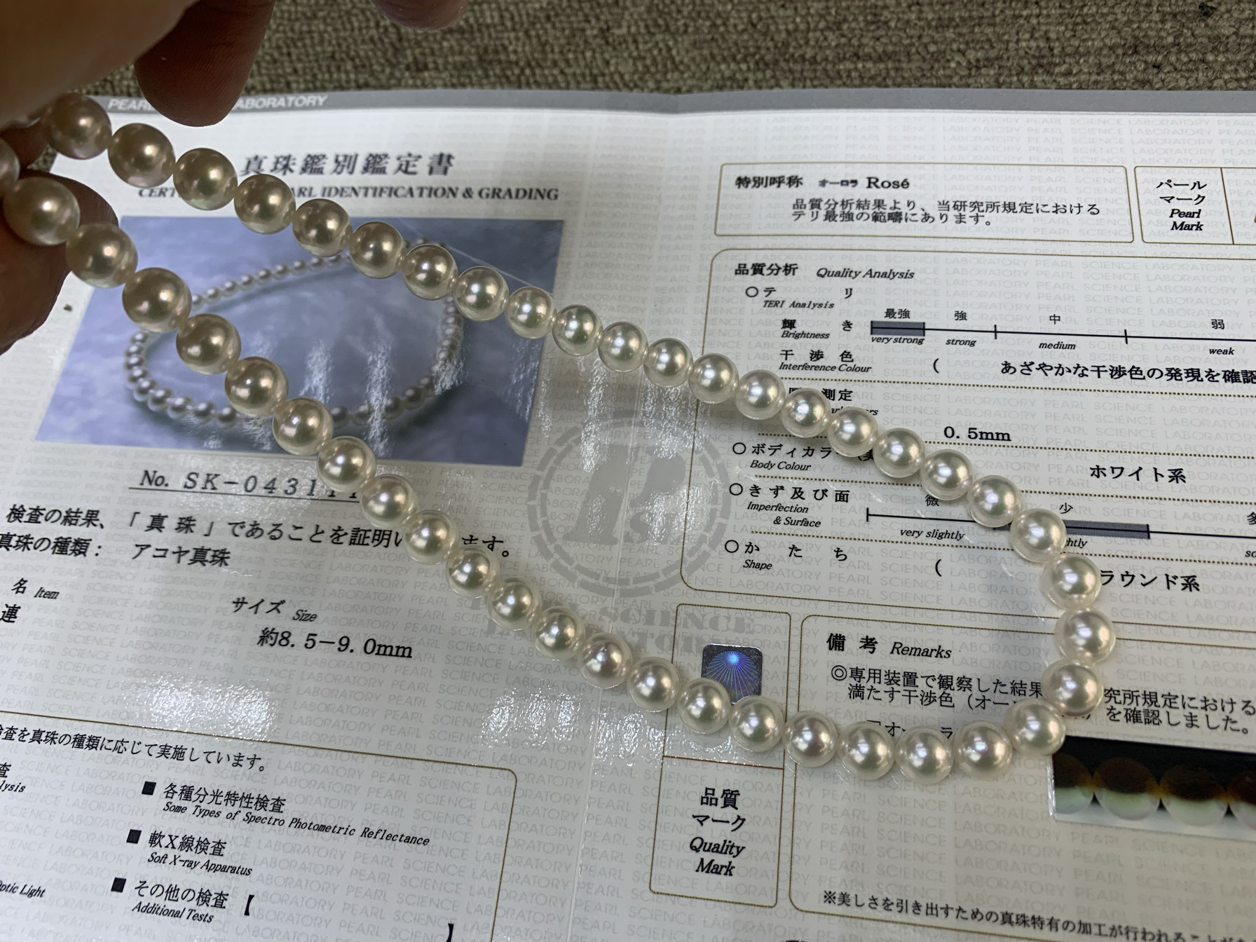 无调色真科研akoya Rose珍珠项链8.5-9mm高亮正圆极微微瑕