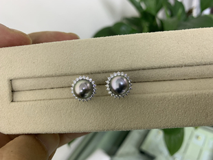 Mini太阳花大溪地黑珍珠耳钉18k金镶嵌7 8mm天然色海水珍珠