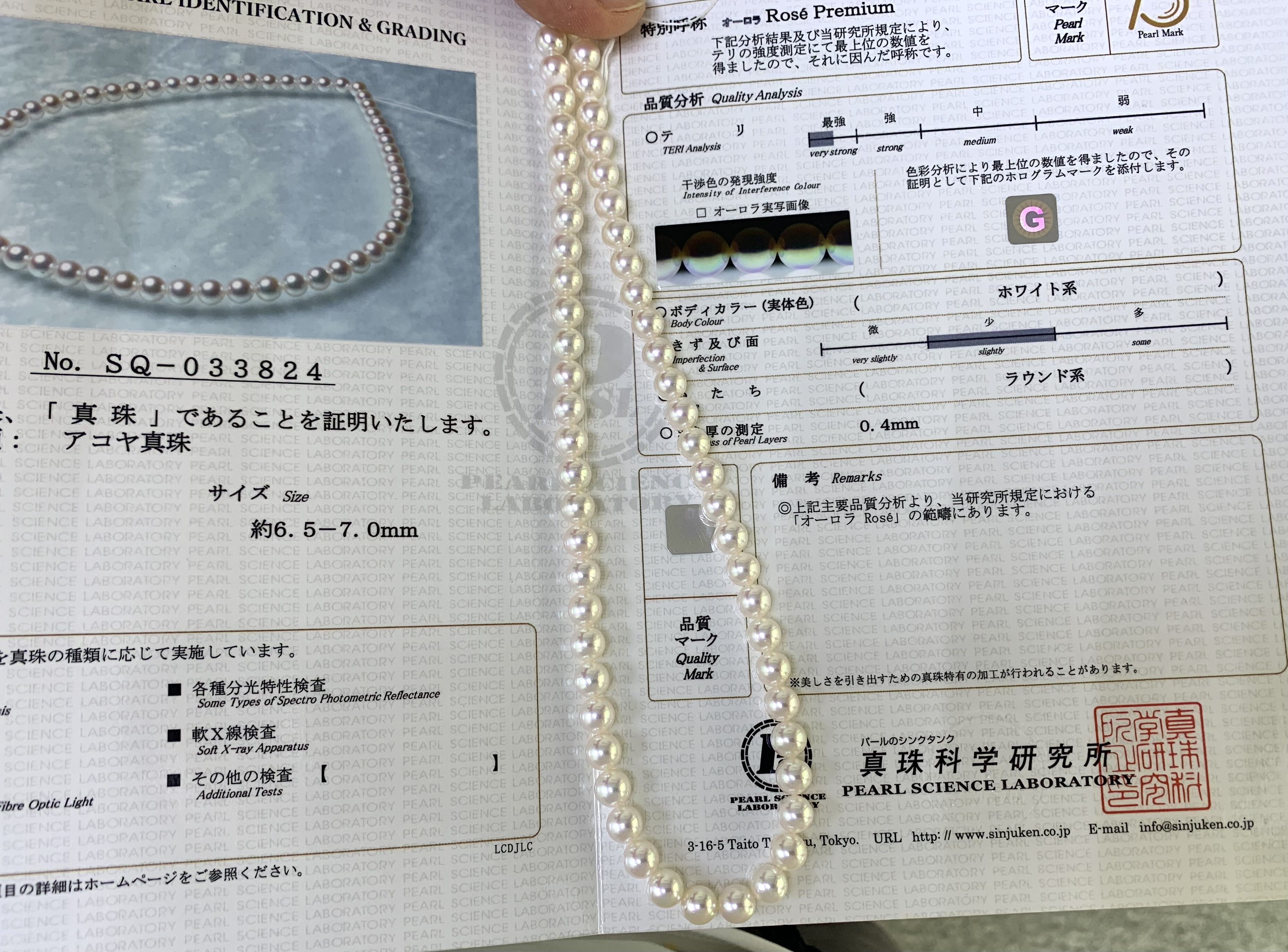 真科研Rose P极光akoya珍珠项链6.5-7mm正圆极微微瑕珍珠项链送礼