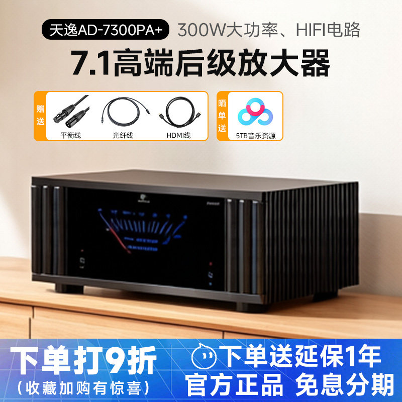 Winner/天逸AD-7300PA+纯后级功放高端发烧定制家庭影院7.1放大器