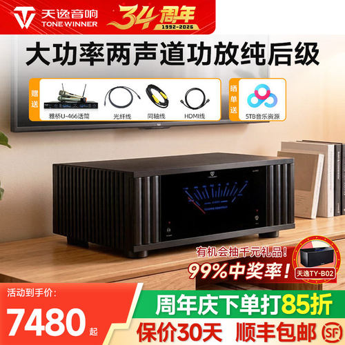 天逸AD-2500PRO发烧大功率后级