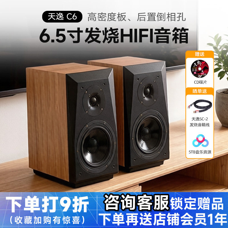 Winner/天逸 童笛C6高保真发烧人声HiFi立体声2.0无源书架音箱