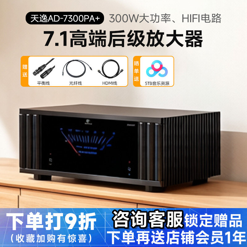Winner/天逸AD-7300PA+纯后级功放高端发烧定制家庭影院7.1放大器