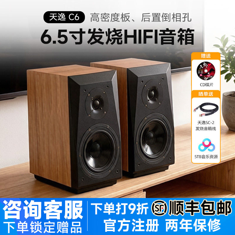 Winner/天逸 童笛C6高保真发烧人声HiFi立体声2.0无源书架音箱