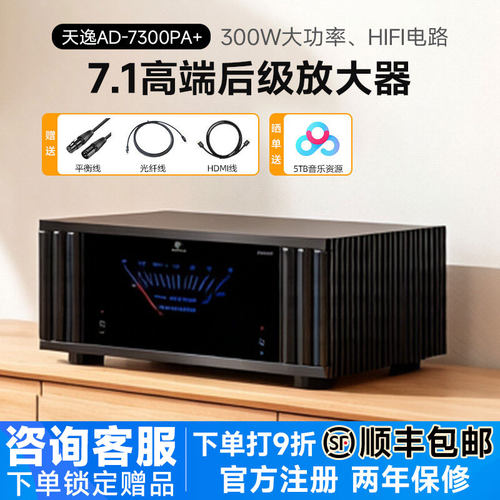 天逸纯后级发烧家庭影院功放定制