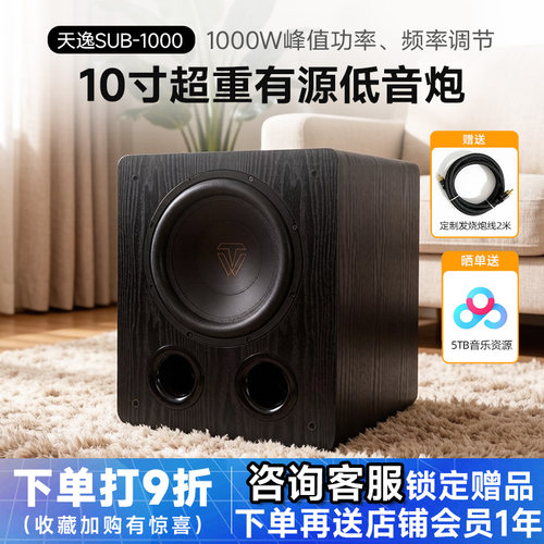 Winner/天逸 SUB-1000十寸家用大功率专业发烧HiFi有源超重低音炮