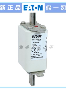 BUSSMANN 170L4039 170L3838 125A 1000V 50AC 2000V高速熔断器式