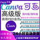 Canva可画会员高级版 国内国际PRO海量模版 视频图片设计素材网VIP