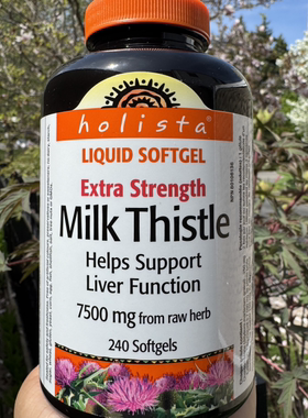 加拿大发货Holista强护肝奶蓟草液体胶囊应酬解酒熬夜水飞蓟240粒