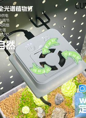 迷你植物生长灯/盆景微景观补光LED灯/绿植多肉发色通风降温5V