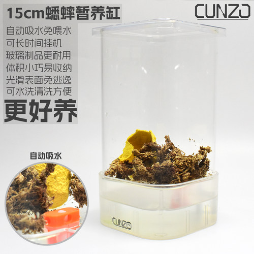 蟋蟀专用养殖架白蟋蟀养殖盒爬宠杜比亚针头蟋蟀饲养箱油葫芦饲料