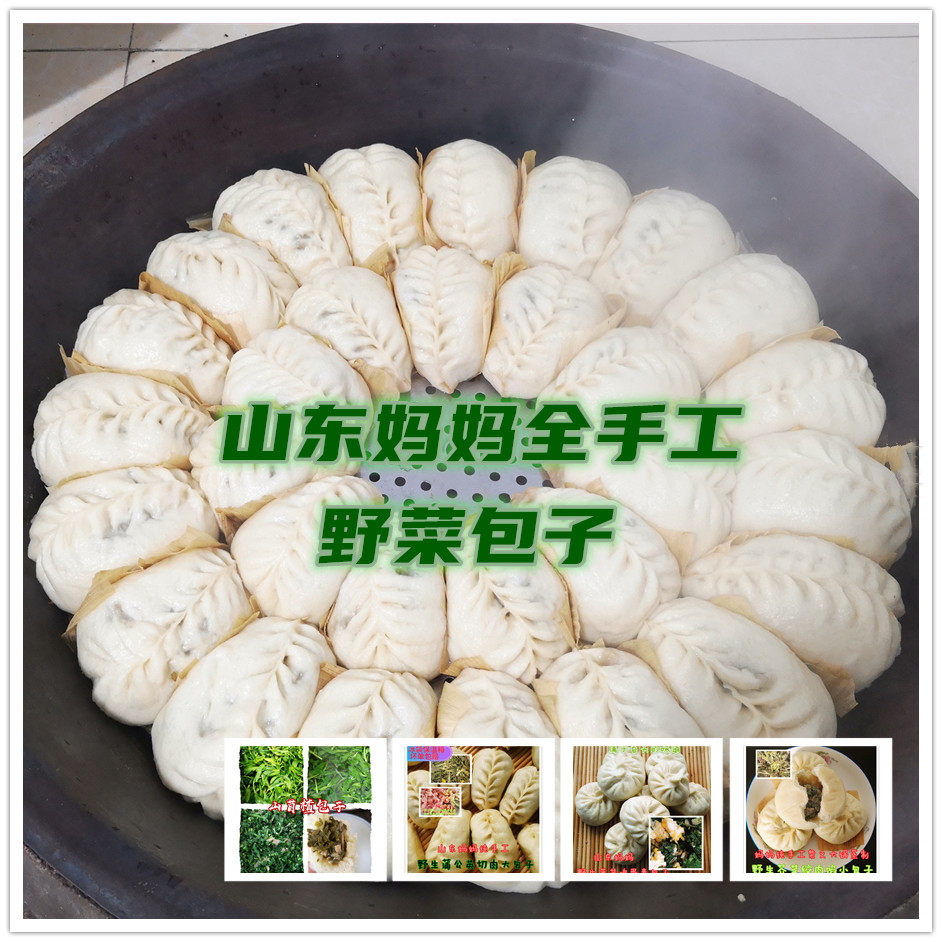 山东妈妈纯手工野生荠菜野菜包子山苜楂山蚂蚱菜切肉槐花