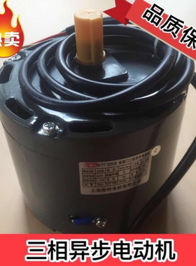 销售电梯配件电梯门电机 /TN-YTTD250310V250B220V开三相异步电机