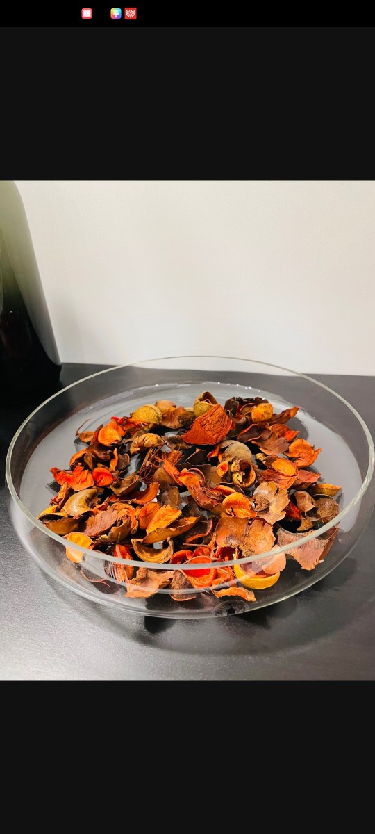 IKEA国内宜家家居代购比莱纳盛具花盆