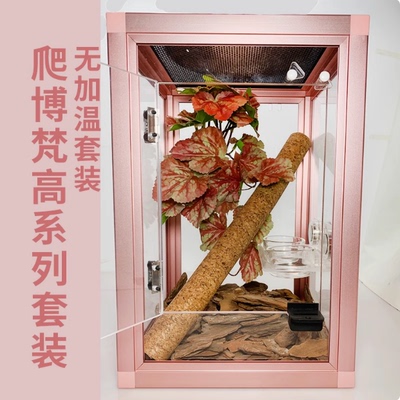 新手入门睫角守宫巨人懒人套装