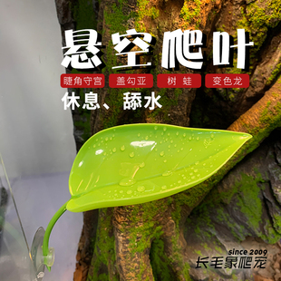 爬宠生态造景仿真叶片攀爬饮水台睫角守宫盖勾亚树蛙悬挂休息架