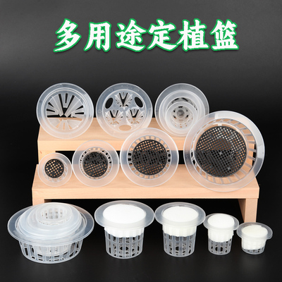 水培定植篮塑料加深带海绵垫网