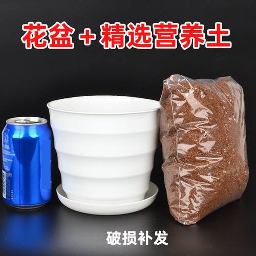 种球花盆和营养土控根塑料盆
