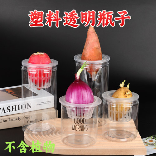 水培瓶子塑料适合洋葱土豆萝卜等