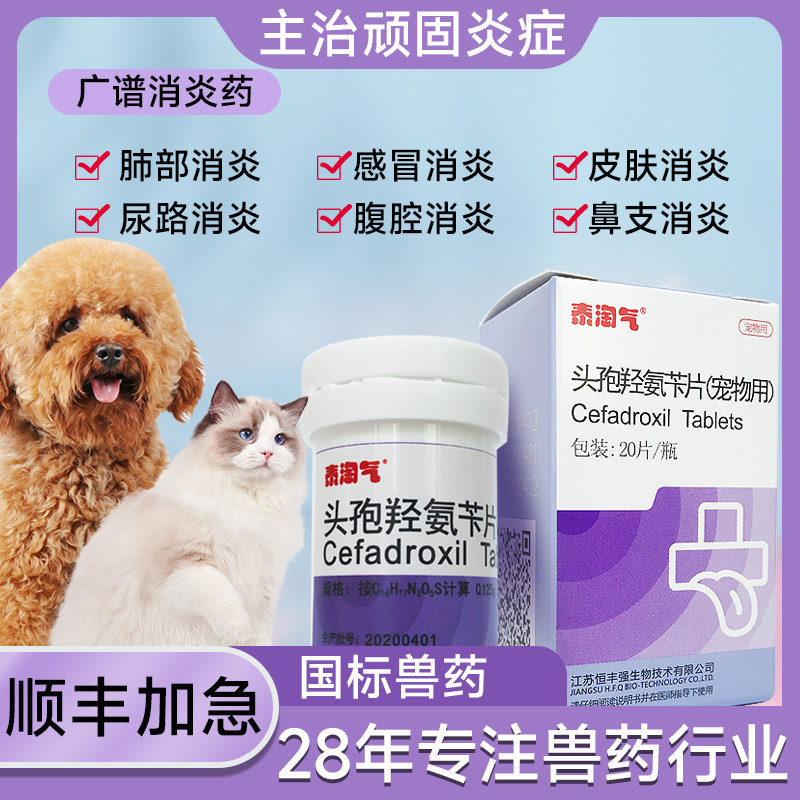 泰淘气头孢羟氨苄片外伤消炎药宠物猫咪狗狗感冒咳喘猫鼻支尿道炎