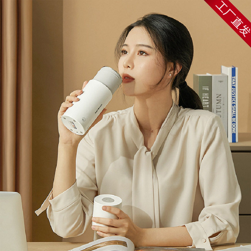 乐扣乐扣电热水杯小型便携式可烧水壶迷你旅行杯子自动电加热保温属于什么档次？