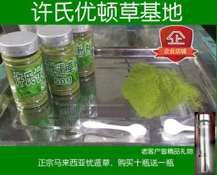 优顿草粉剂50克 忧循草 优盾草忧遁草 忧遁草鲜干叶 汉帝草破壁粉