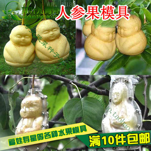 寿星喜娃心形定型苹果梨甜瓜模具