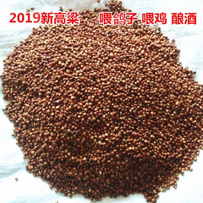 带皮红高粱 去壳未脱皮高梁五谷杂粮喂鸟喂鸡喂鸽子饲料酿酒原料