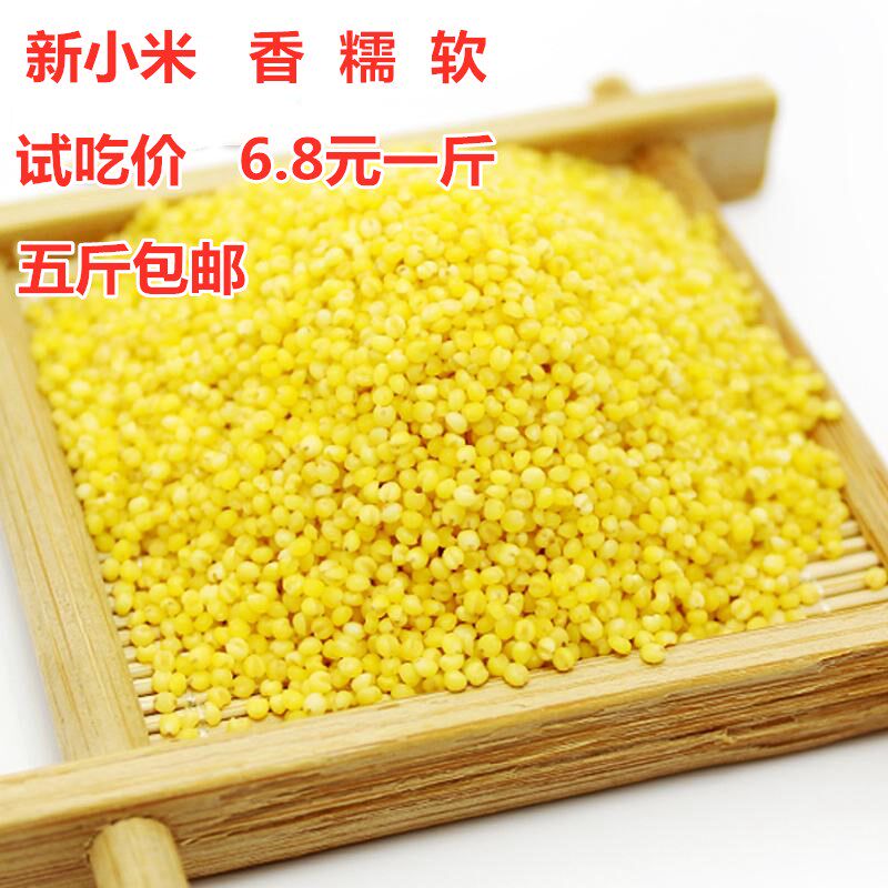 内蒙新小米 新小黄米月子米宝宝米 吃的小米粥 5斤包邮