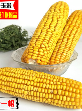 磨牙补充维生玉米棒子易吸收