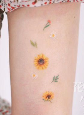 花臂少女2020新品新工艺白色加彩色小雏菊叶子菊花纹身贴一张两组