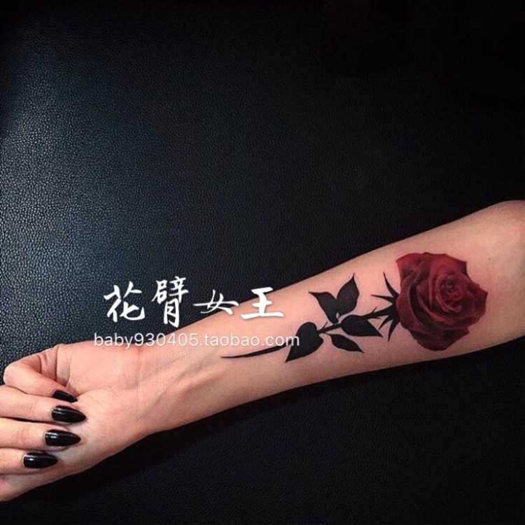 花臂少女tattoo  s70手绘 暗黑系列 花朵玫瑰 纹身贴