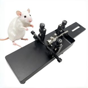 脑立体定位仪小鼠麻醉面罩 可接小动物麻醉机 小鼠适配器配件