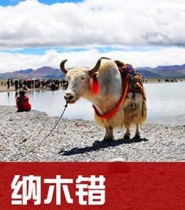 西藏纳木错旅游攻略图2025年自助游自由行旅游指南