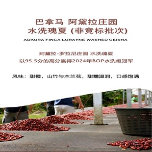 24年bop冠军庄园 水洗瑰夏非竞标批次 巴拿马阿黛拉Adaura 庄园