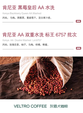 圆石限定批次 肯尼亚 黑莓皇后AA水洗 标王6757批次咖啡豆115g