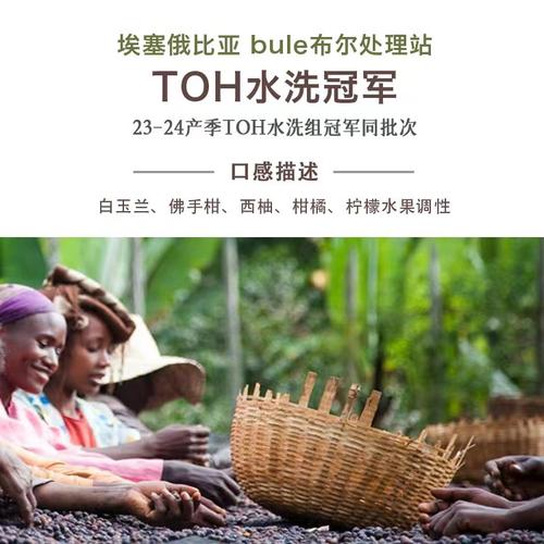 印象庄园埃塞布尔水洗TOH冠军