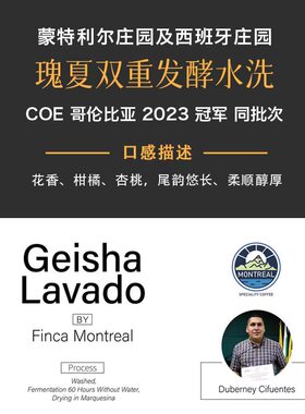 COE第1名同批次 哥伦比亚蒙特利尔庄园 瑰夏双重发酵水洗咖啡豆