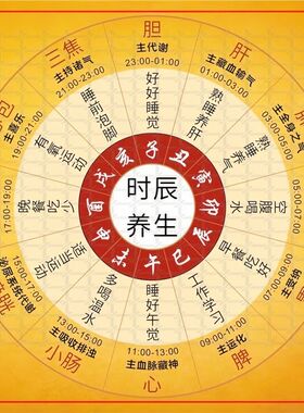 十二时辰养生表自粘贴画玄关背景