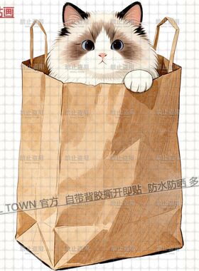 网红新款袋子里的小猫图案自粘贴
