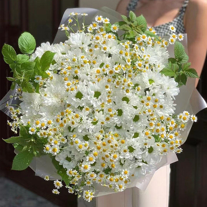 清明节白菊花鲜花城速同递祭祀祭祖祭拜扫墓去世上海北京花店配送